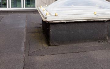 disadvantages of Chiswell flat roofs