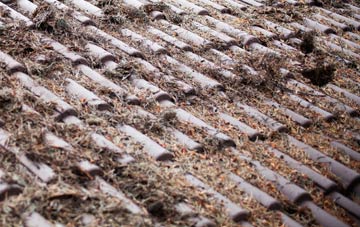 Chiswell roof cleaning companies