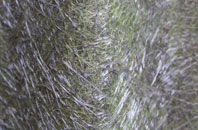 Chiswell fibreglass roof work